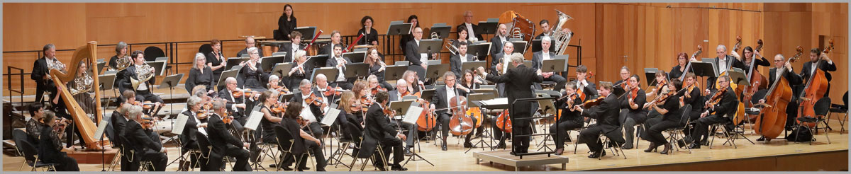 Heilbronner Sinfonie Orchester - Startseite