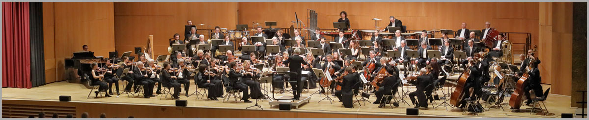 Heilbronner Sinfonie Orchester - Kontakt